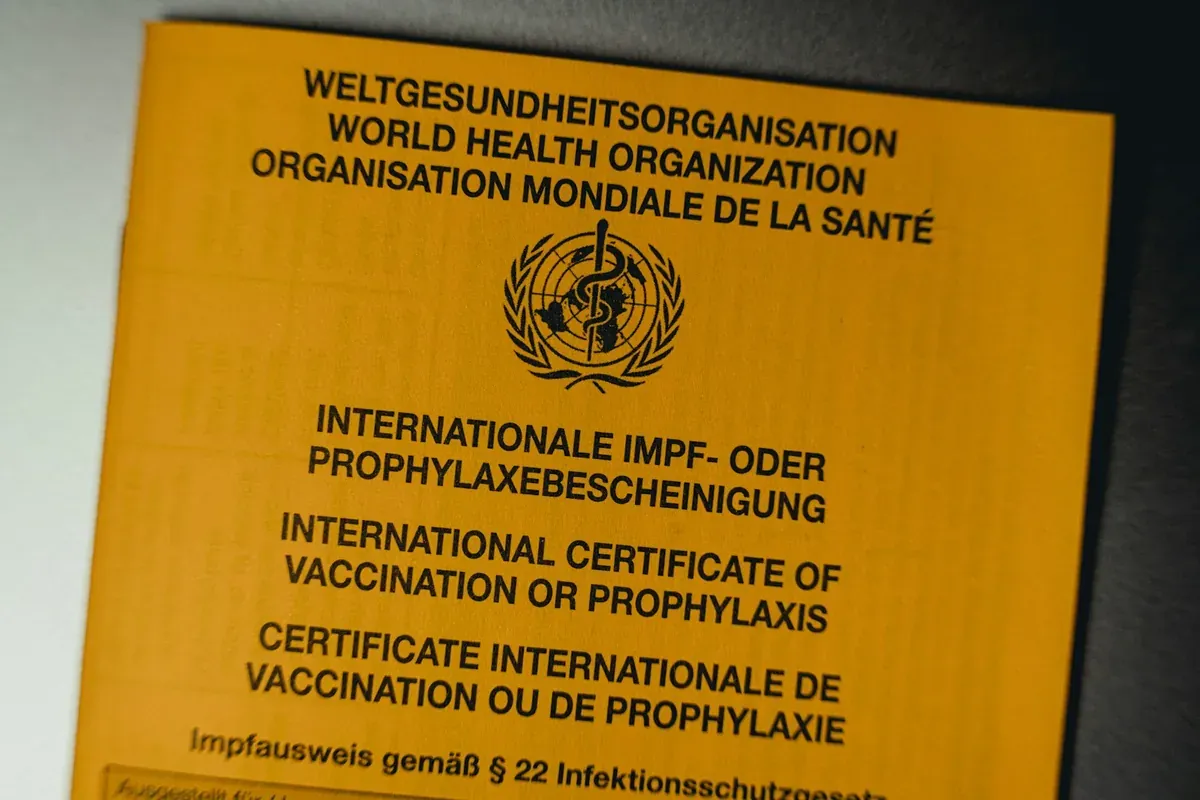 Wer entscheidet, dass eine Pandemie beginnt?