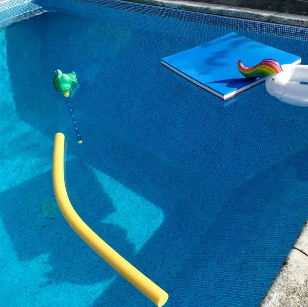 Die Schwimmnudel-Diplomatie: Wie ein Virus zwei Meinungen bekam