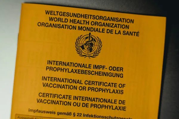 Wer entscheidet, dass eine Pandemie beginnt?